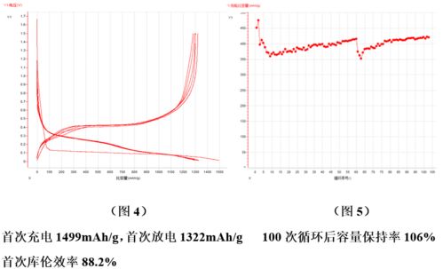 技術前沿│全球硅基負極材料專利數量已逾萬件，探尋生物硅負極材料的秘密