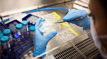 健康產(chǎn)業(yè)新機(jī)遇 生物基材料技術(shù)的創(chuàng)新與突破