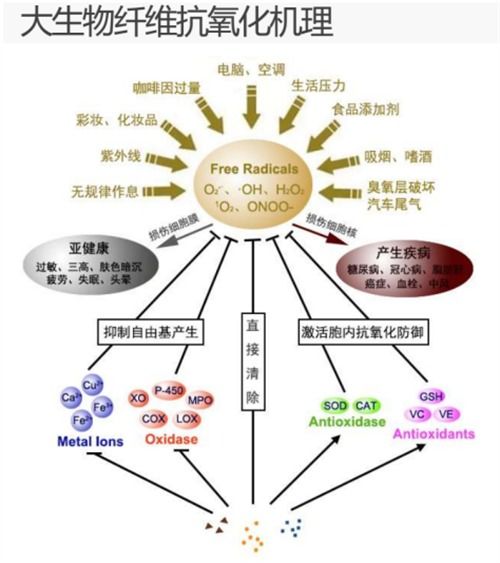 大生物纖維 點(diǎn)燃中國紡織業(yè)變革與山東新舊動(dòng)能轉(zhuǎn)換的燎原之火
